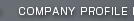 COMPANY PROFILE
